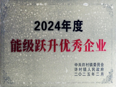 能級躍升優秀企業